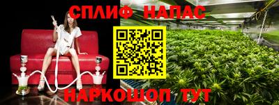 бошки Донской