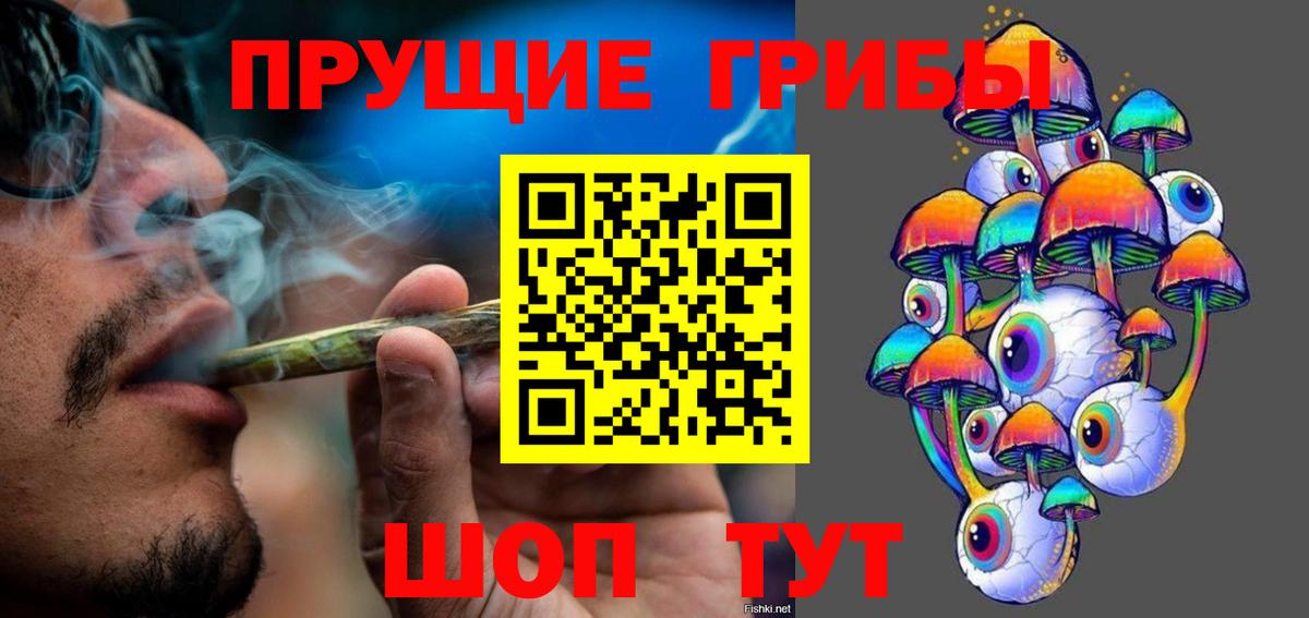 Псилоцибиновые грибы Cubensis  Вход с VPN  Курчатов 